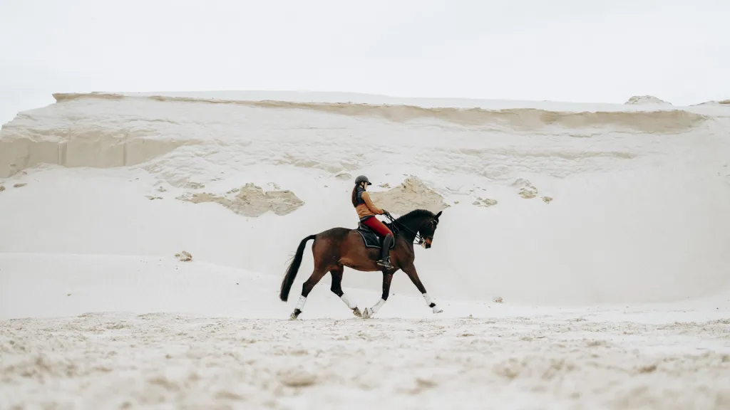 Horse Pilot : shooting photo lifestyle par Aurélie Sudre (photo 11 sur 27)